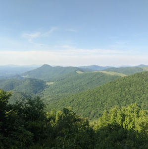 Meet your Posher, Cassandra